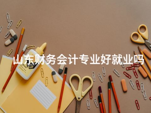 山东财务会计专业好就业吗(图1) 山东财务会计专业好就业吗(图1)