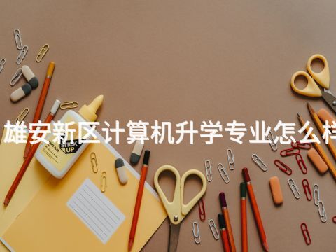 雄安新区计算机升学专业怎么样