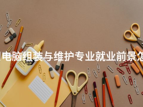 郑州电脑组装与维护专业就业前景怎么样(图1)