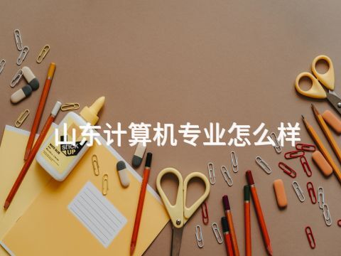山东计算机专业怎么样