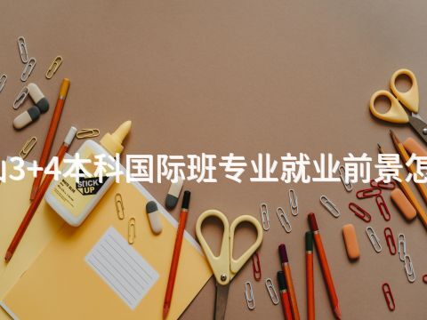 唐山3+4本科国际班专业就业前景怎么样