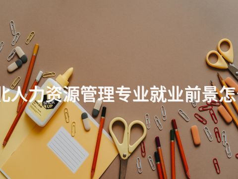 河北人力资源管理专业就业前景怎么样(图1) 河北人力资源管理专业就业前景怎么样(图1)
