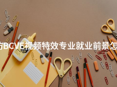 潍坊BCVE视频特效专业就业前景怎么样