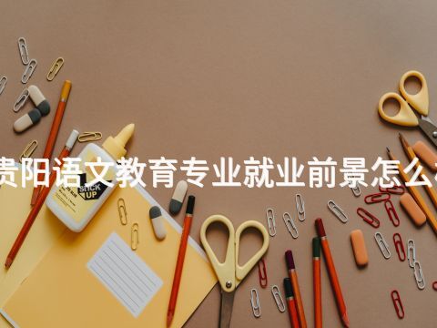 贵阳语文教育专业就业前景怎么样