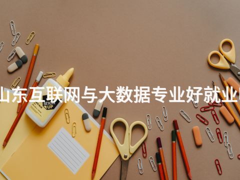 山东互联网与大数据专业好就业吗