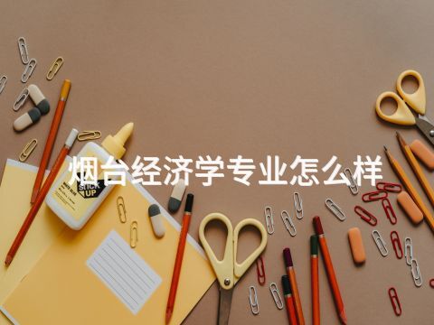 烟台经济学专业怎么样