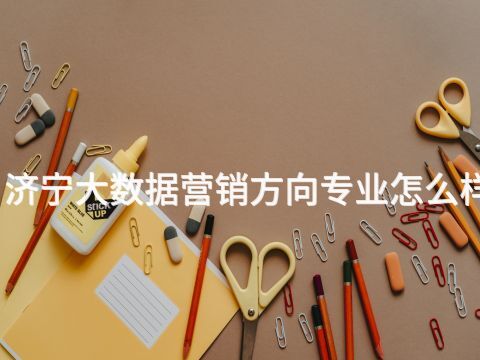济宁大数据营销方向专业怎么样