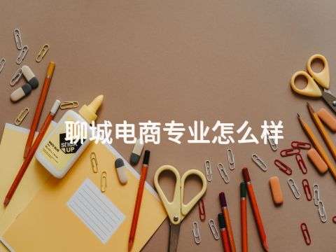 聊城电商专业怎么样(图1) 聊城电商专业怎么样(图1)