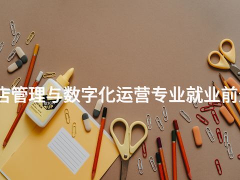 济宁酒店管理与数字化运营专业就业前景怎么样(图1)
