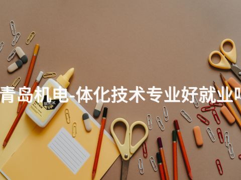 青島機(jī)電-體化技術(shù)專(zhuān)業(yè)好就業(yè)嗎