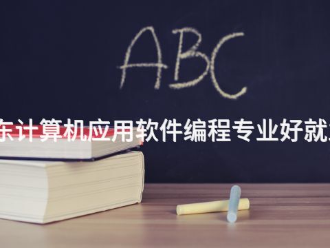 山东计算机应用软件编程专业好就业吗