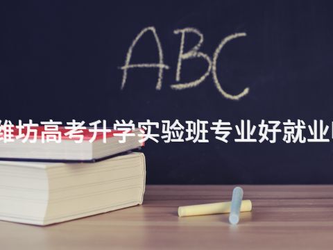 潍坊高考升学实验班专业好就业吗(图1) 潍坊高考升学实验班专业好就业吗(图1)