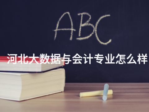 河北大数据与会计专业怎么样(图1) 河北大数据与会计专业怎么样(图1)