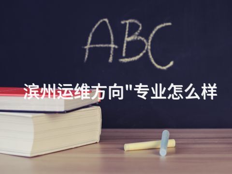 滨州运维方向"专业怎么样