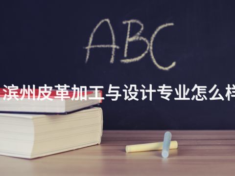 滨州皮革加工与设计专业怎么样