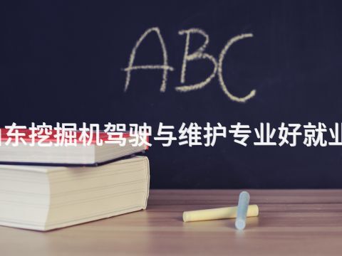 山东挖掘机驾驶与维护专业好就业吗