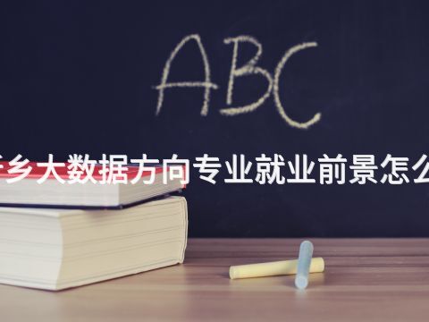 新乡大数据方向专业就业前景怎么样