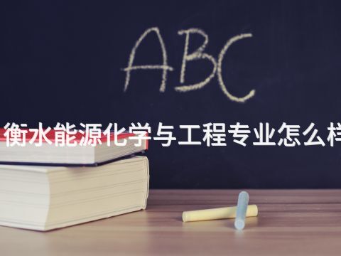 衡水能源化学与工程专业怎么样