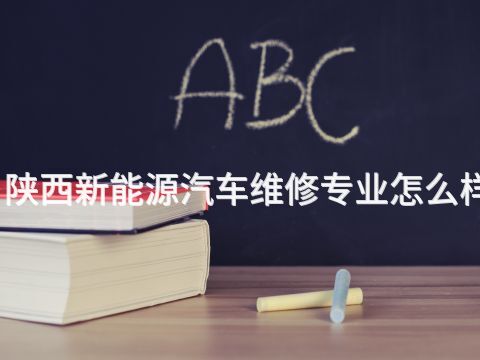 陕西新能源汽车维修专业怎么样(图1) 陕西新能源汽车维修专业怎么样(图1)