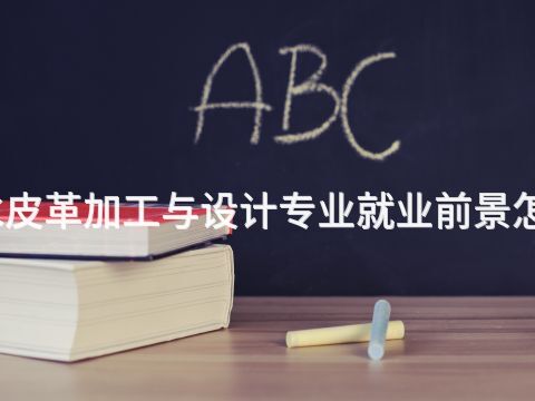 衡水皮革加工与设计专业就业前景怎么样