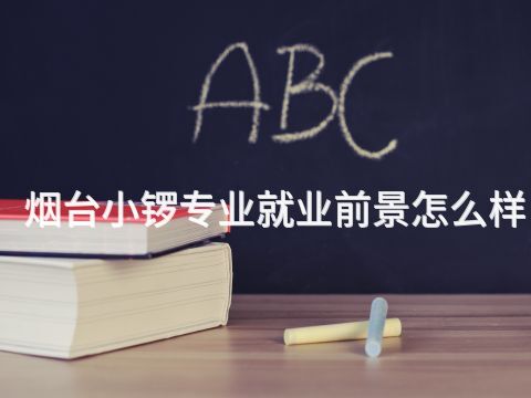 煙臺小鑼專業就業前景怎么樣(圖1) 煙臺小鑼專業就業前景怎么樣(圖1)