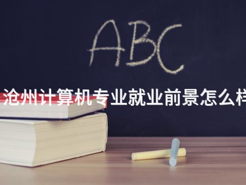 沧州计算机专业就业前景怎么样(图1)