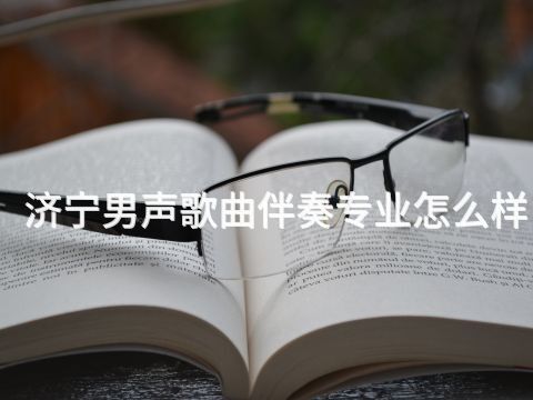 济宁男声歌曲伴奏专业怎么样