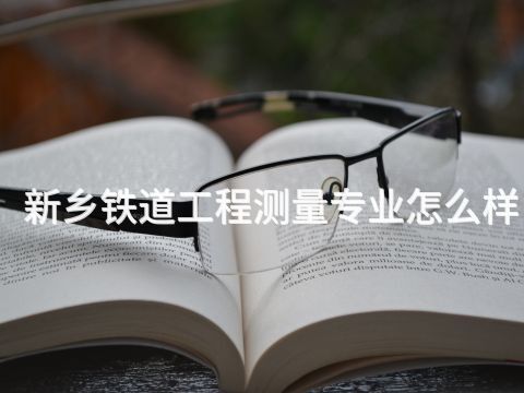 新乡铁道工程测量专业怎么样(图1) 新乡铁道工程测量专业怎么样(图1)