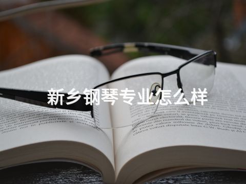 新乡钢琴专业怎么样