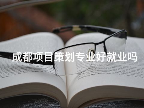 成都項目策劃專業好就業嗎