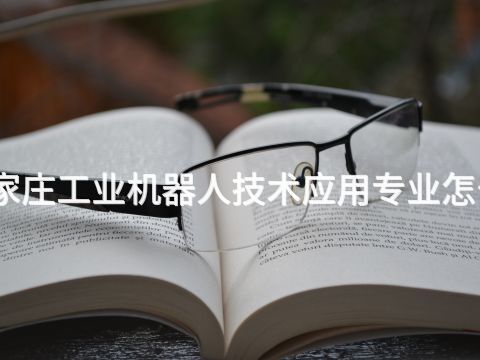 石家庄工业机器人技术应用专业怎么样