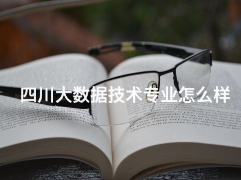 四川大数据技术专业怎么样(图1) 四川大数据技术专业怎么样(图1)