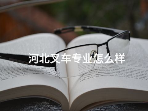 河北叉车专业怎么样(图1)