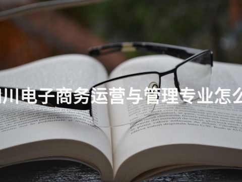 四川电子商务运营与管理专业怎么样(图1)