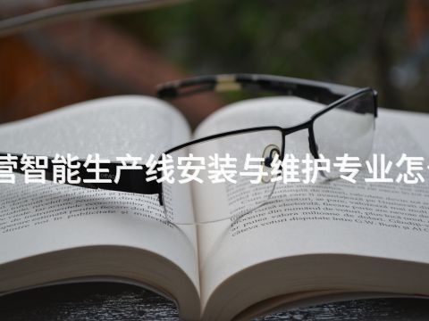 东营智能生产线安装与维护专业怎么样
