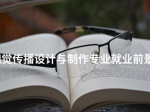 四川視覺傳播設計與制作專業就業前景怎么樣