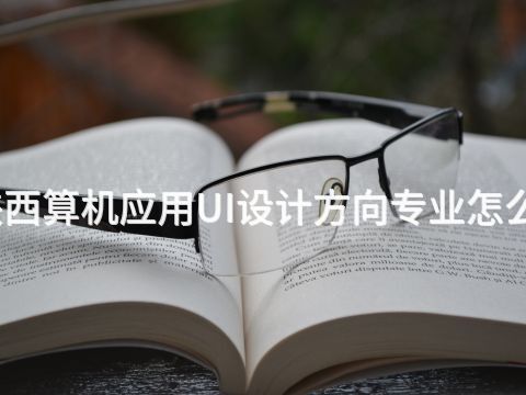 陕西算机应用UI设计方向专业怎么样
