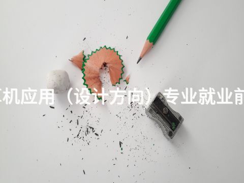 德州计算机应用（设计方向）专业就业前景怎么样