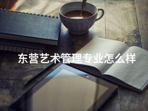 东营艺术管理专业怎么样