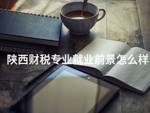 陕西财税专业就业前景怎么样(图1) 陕西财税专业就业前景怎么样(图1)