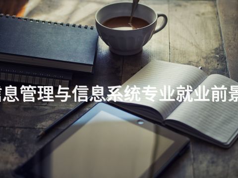 烟台信息管理与信息系统专业就业前景怎么样