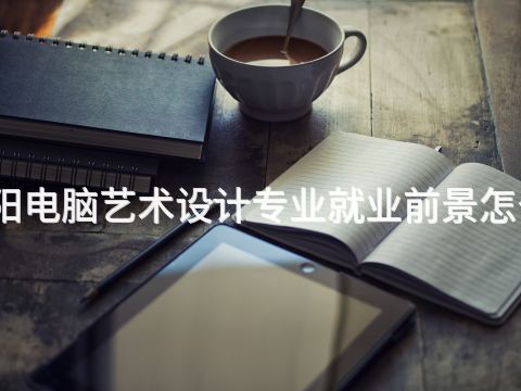 贵阳电脑艺术设计专业就业前景怎么样