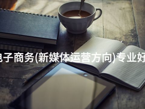 鄭州電子商務(新媒體運營方向)專業好就業嗎