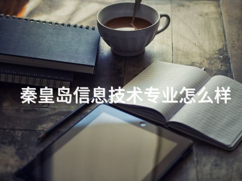 秦皇岛信息技术专业怎么样
