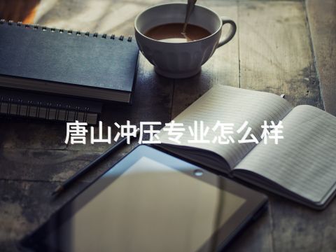 唐山冲压专业怎么样
