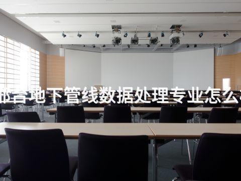 邢台地下管线数据处理专业怎么样