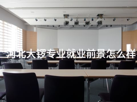 河北大锣专业就业前景怎么样(图1) 河北大锣专业就业前景怎么样(图1)