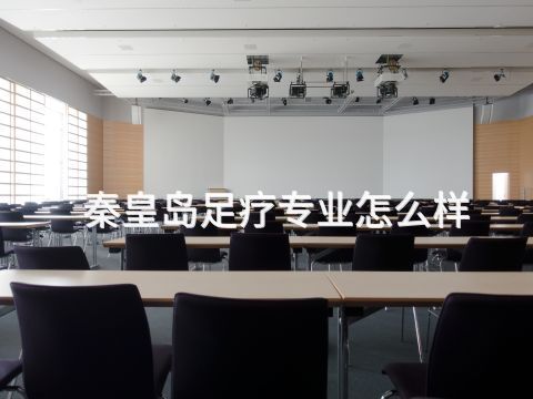 秦皇岛足疗专业怎么样