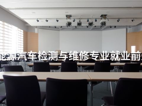 成都新能源汽車檢測與維修專業(yè)就業(yè)前景怎么樣