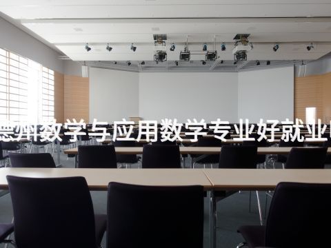 德州数学与应用数学专业好就业吗